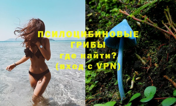 молекула духа Алексеевка