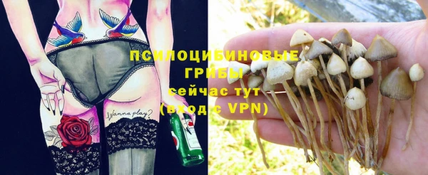молекула духа Алексеевка
