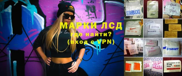 PSILOCYBIN Алзамай