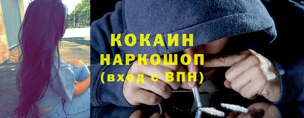 молекула духа Алексеевка