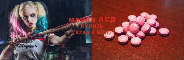 PSILOCYBIN Алзамай