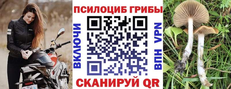 Псилоцибиновые грибы Psilocybine cubensis mega ссылки Красноуфимск наркотики
